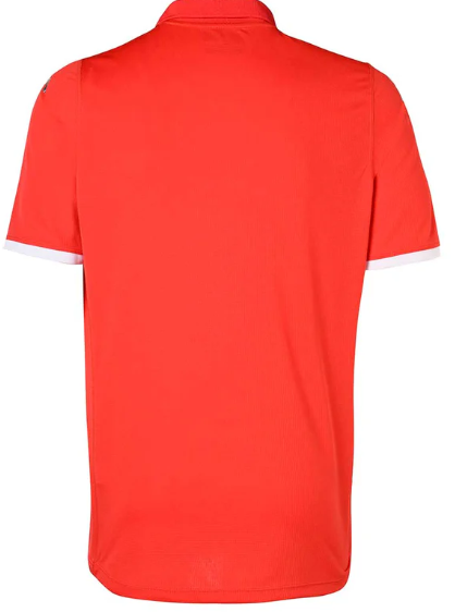 Maillot domicile Tunisie ADULTE
