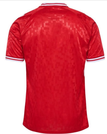 Maillot domicile Danemark ADULTE