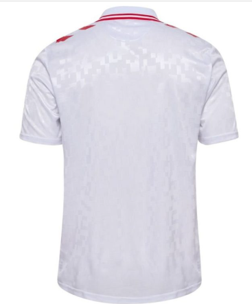 Maillot extérieur Danemark ADULTE