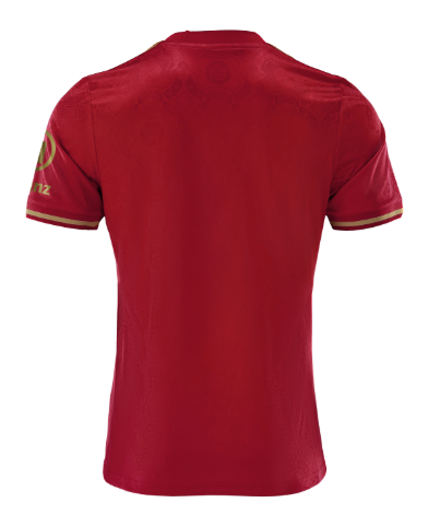 Maillot spécial 125 ANS  Bayern Munich ADULTE