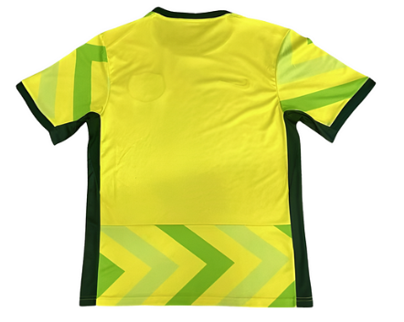 Maillot domicile Australie ADULTE