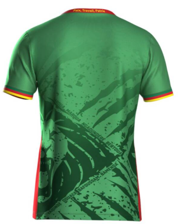 Maillot domicile Cameroun ADULTE