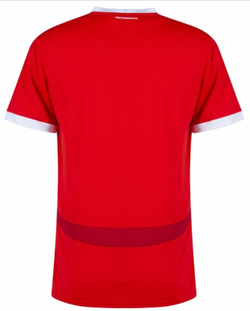 Maillot domicile Autriche ADULTE