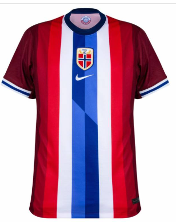 Maillot domicile Norvège ADULTE