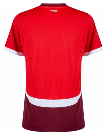 Maillot domicile Suisse ADULTE