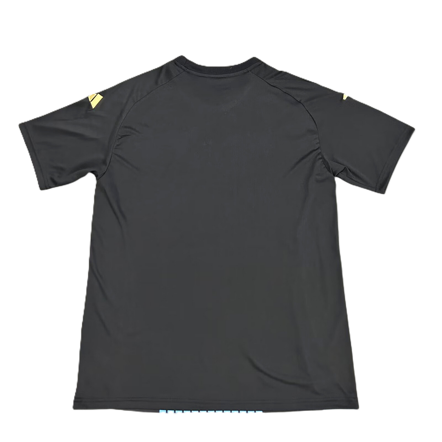 Maillot "Edition Spéciale" Allemagne 2025/2026