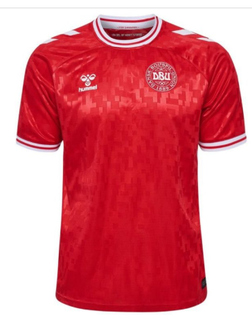 Maillot domicile Danemark ADULTE