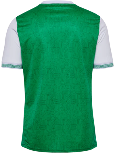 Maillot domicile AS Saint-Etienne ADULTE 2025/2026