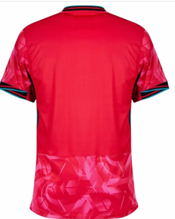 Maillot domicile Corée du Sud ADULTE