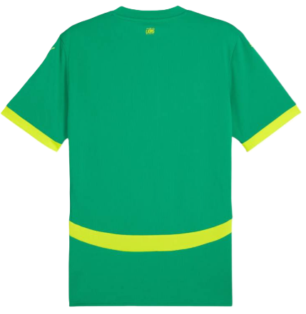 Maillot extérieur Sénégal ADULTE