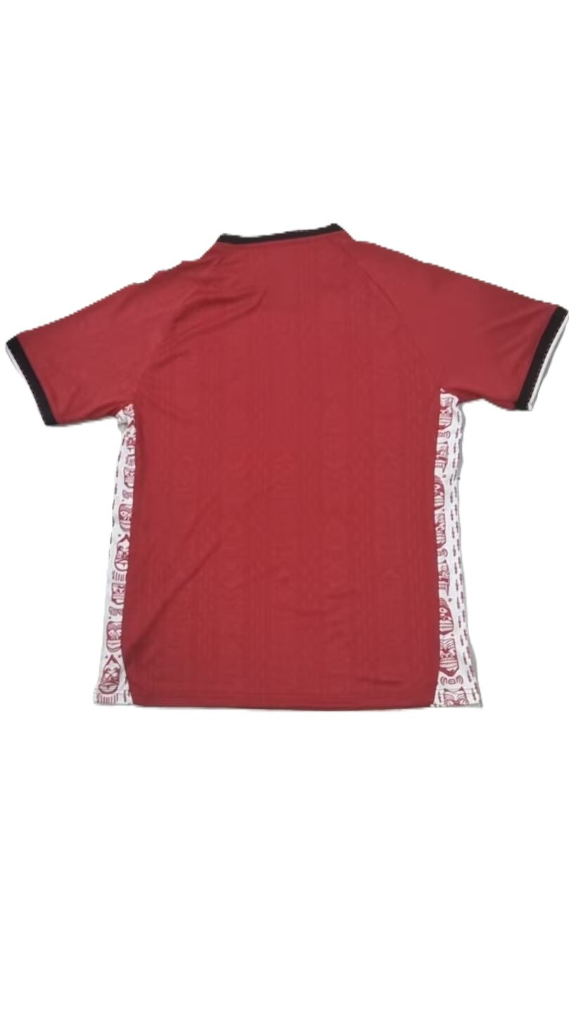 Maillot domicile Groenland ADULTE